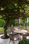 Antica Dimora Leones Hotels in Peccioli