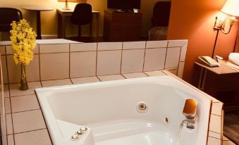 Mountain Inn & Suites - Dunlap TN