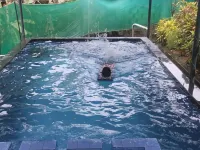 Kuttickattil Gardens Home Stay Hôtels à : Kottayam