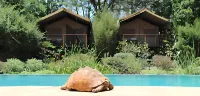 Wildebeest Eco Camp