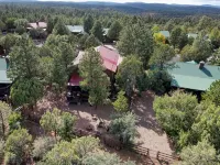 Pet friendly 2-bedroom home with loft, sleeps 10, in gated Bison Ridge, Show Low Hotels in Show Low