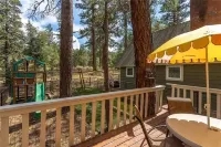 Rustic Mountain Retreat. Trail Access,Fenced Yard