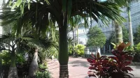 Tic Guest House - Mountain view