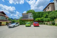 Pensiunea Domneasca - parking