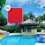 Pousada Brigitte Hotels in Barra Do Sahy Beach