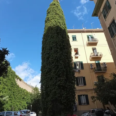 Non CI Resta Che Napoli