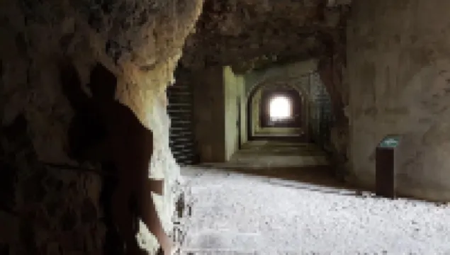 Al Vecchio Glicine