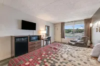 Econo Lodge Hotels in Eden