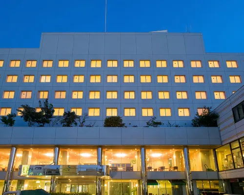 Extol Inn Saijo Ekimae Hotels in Saijo