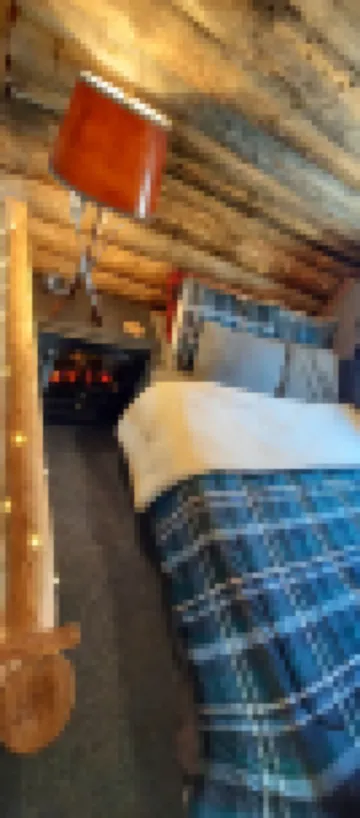 Tiny Cabin in Huron National Forest!