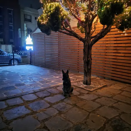 Morning at Yudalsan Mountain in Mokpo
