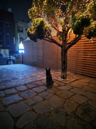 Morning at Yudalsan Mountain in Mokpo Отели рядом с достопримечательностью «Yudalsan Mountain»