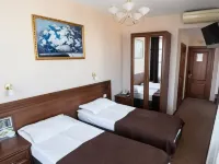Viktoriya Hotel Hotels in Irkutsk