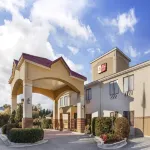 Best Western Plus Suites-Greenville