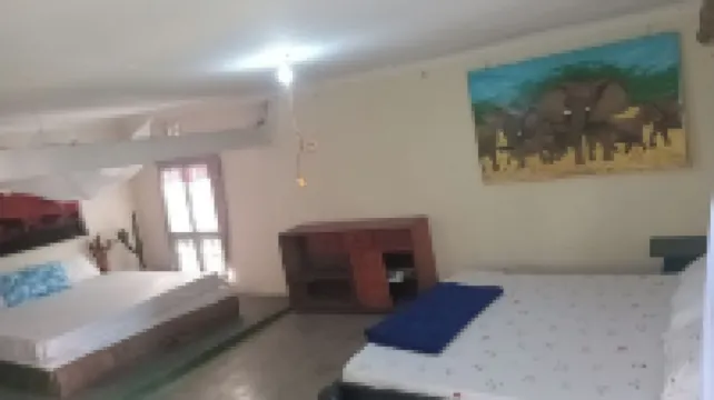 Game Changers Lodge - Safari