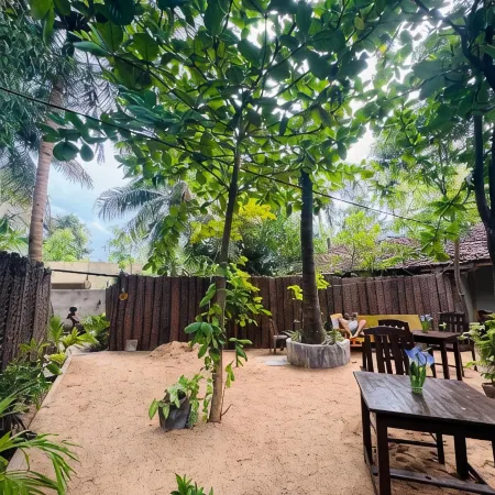 Ocean Bliss Arugambay Hotels in Arugam