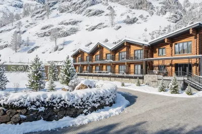 Sol Altai Hotel Hotels in 