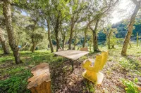 Quinta Senhora da Vida - a house in the middle of the forest, overlooking the sea