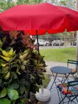 Martinique – Les Trois-Îlets, Pointe du Bout | Ideal  in the Heart of the Island - 2つ星