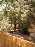 Gorgeous 2 Bedroom Kosher  Apt. in Nachlaot, Adjacent to Town 住宿飯店