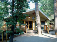Yosemite Bug Rustic Mountain Resort