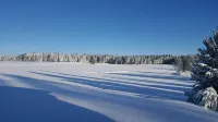 Holiday house in the quietly located holiday park Tennenbronn - 民宿