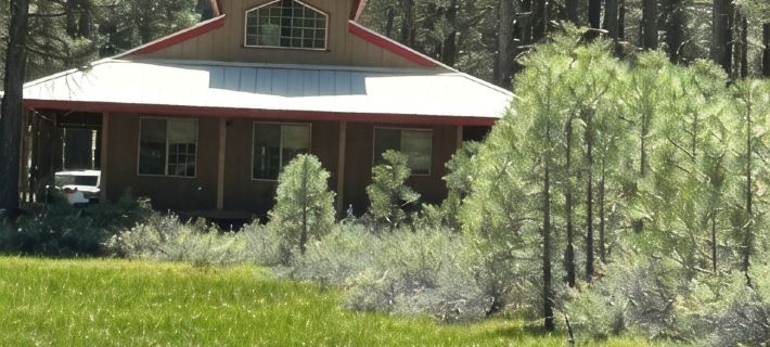 Cozy Cabin with wrap around porch. Walking distance to Chalet View Lodge. Hôtels à&nbsp;: Comte de Plumas