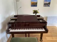 Wonderful rural idyll with glorious views and Yamaha baby grand piano - 무료 와이파이
