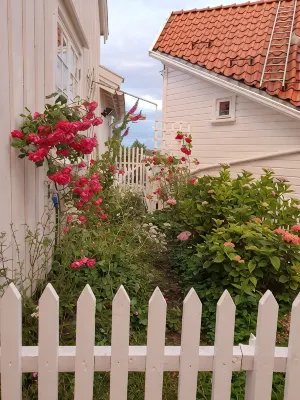 Summer city nr 1 in  south Norway.  Apartment right in the center of the town! - Apartments