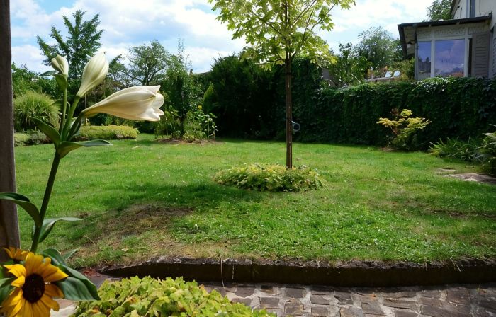 Blüten Remise - Welcome to the flower city of Werder!