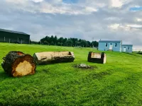 The Lazy Llama Shepherd Hut & Sauna Farm Stay - 2-Star