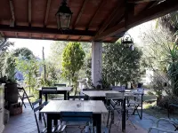 Alpi Apuane:colored flat in ancient farmhouse 4km from the sea and near the Alps Hotels in Seravezza