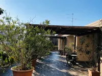 Hotel Delfina Hotels in Signa