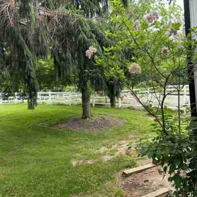 Secluded studio getaway- only 4 miles from Downtown Iowa City Hotel Exterior
