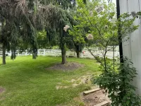 Secluded studio getaway- only 4 miles from Downtown Iowa City - appartements de vacances