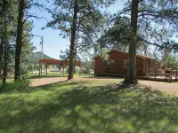 Tin Mill Cottage on a quiet wooded lot, walking distance to downtown!