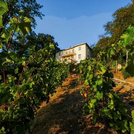 Dream apartment in a dream location - living in a villa on the castle hill in Loschwitz