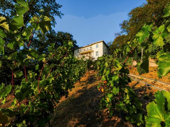 Dream apartment in a dream location - living in a villa on the castle hill in Loschwitz