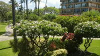 Exquisite Condo with an Awesome Ocean View Emerald 289 - 3-نجوم