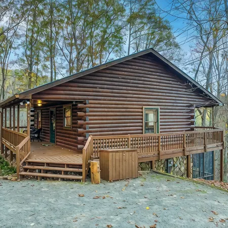 Dog-Friendly Log Cabin with Mountain Views, Hot Tub & Game Room — Near Downtown