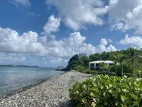 The TipSea Turtle at Cabrita by the Sea - a romantic oceanfront condo - 무료 와이파이