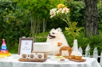 Yeoncheon Happy Dog Pension - Country Houses