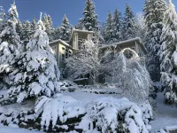 Luxury Smart System Enabled Home on the Hill with Beautiful View - ジム