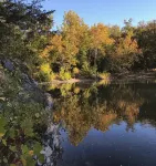 Peaceful Waterfall House -- 2 bedroom hidden treasure - 4-Star