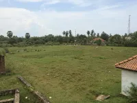 Summer Cottage - Homestays