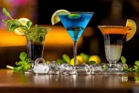 阿克斯耶默倫經典挪威酒店 - 酒吧
