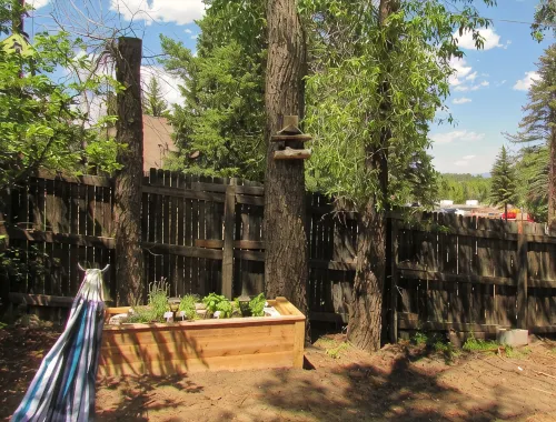 Quaint and cozy cabin Estes Park!  Centrally located and recently remodeled! - シャレー