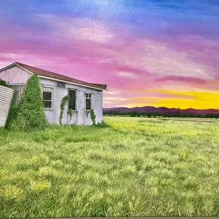 Cabin in the dam paddock, 10 min to the beach. Hotels in Coolum Beach
