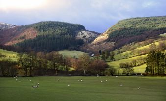 a beautiful landscape with green hills , trees , and mountains , as well as a herd of sheep grazing in the field at Palé Hall