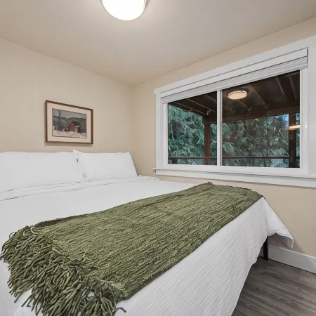 Cozy 1-bedroom forest retreat in gorgeous Bellingham